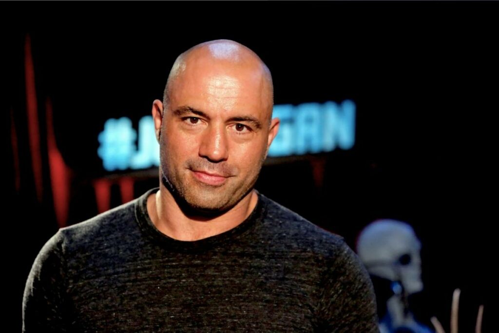 Joe Rogan Biography