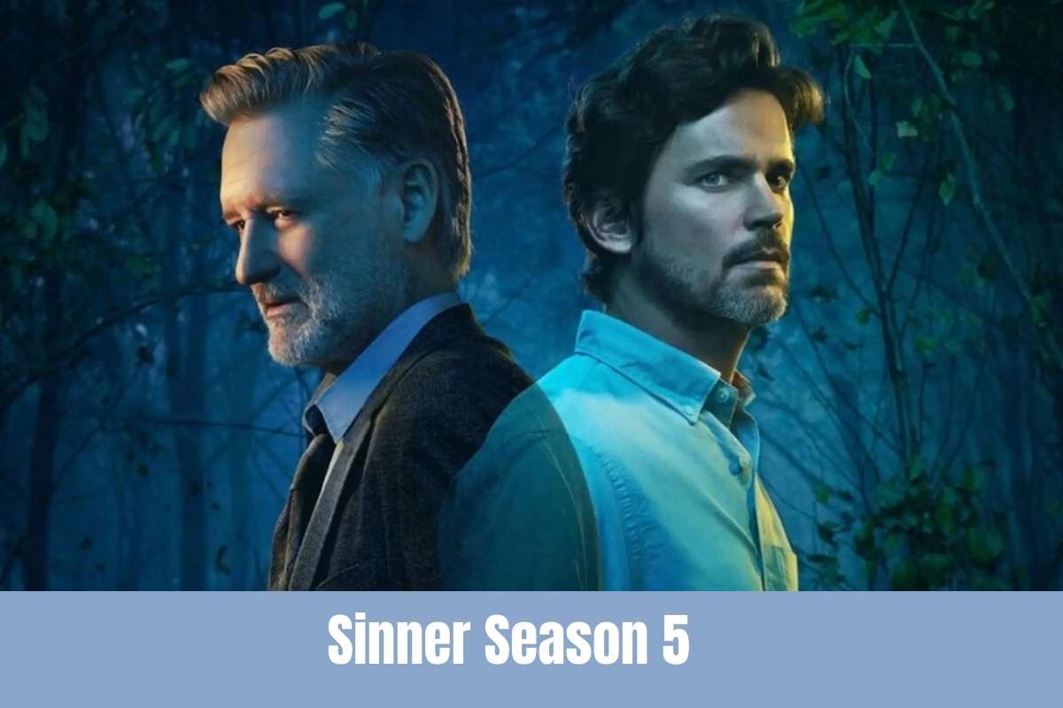 Sinner Season 5