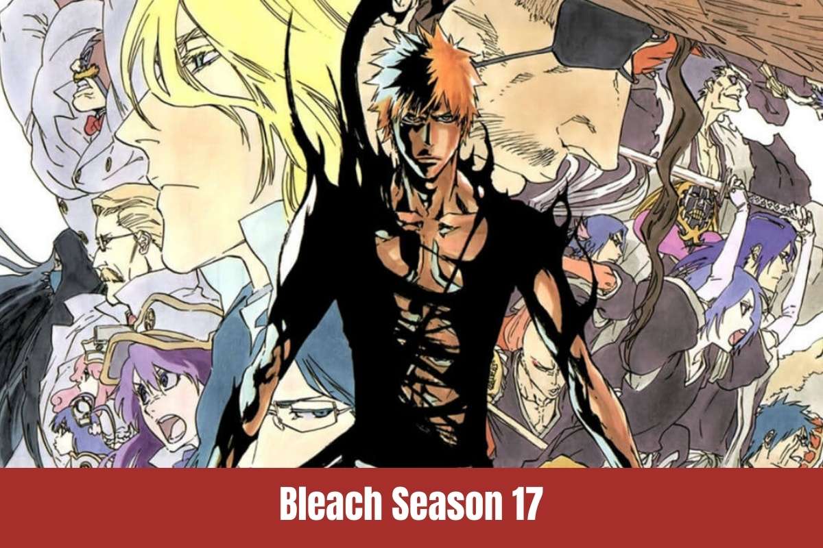 Bleach Season 17