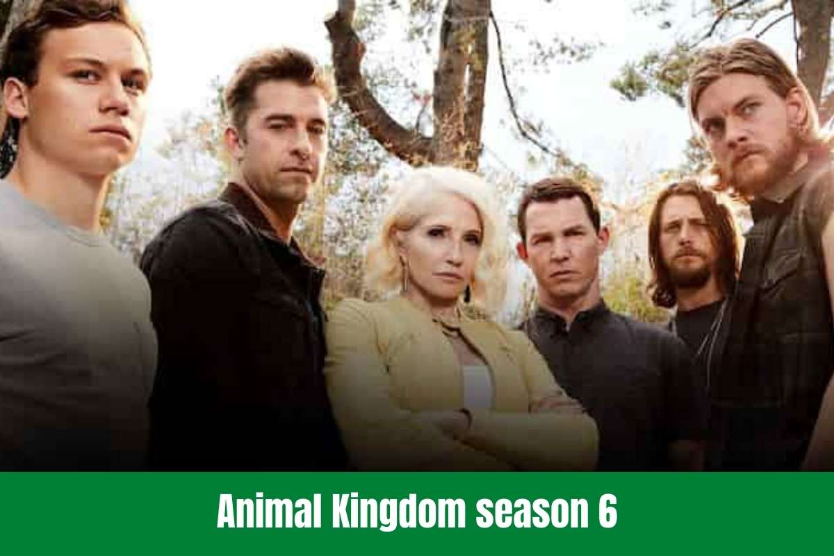 Animal Kingdom season 6