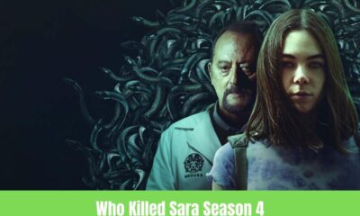 Who Killed Sara Season 4