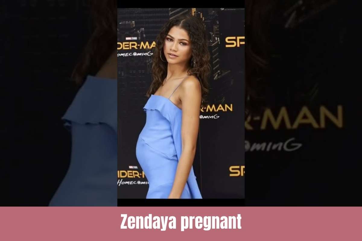 Zendaya pregnant