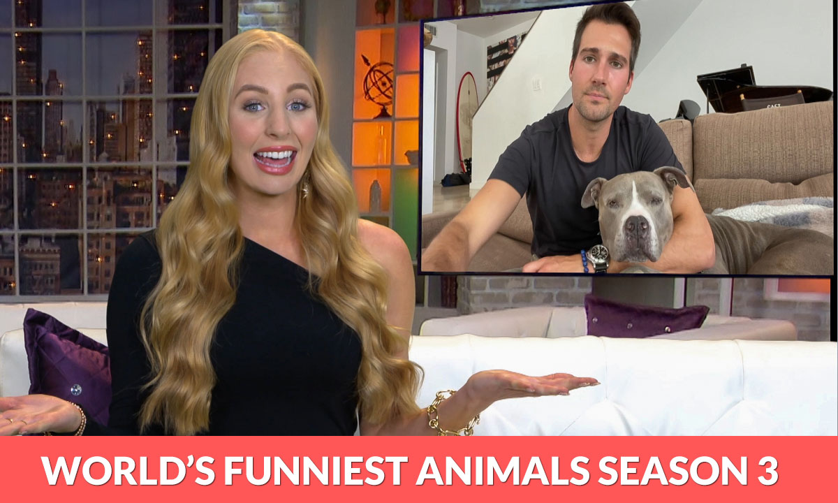 World's Funniest Animals Season 3