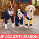 Pup Academy Season 3 Release Date
