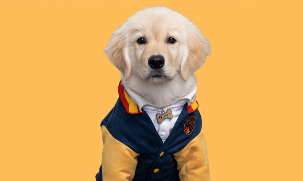 Pup Academy Season 3 Cast