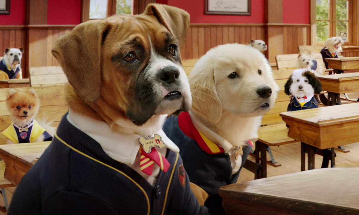 Pup Academy Season 3 Plot