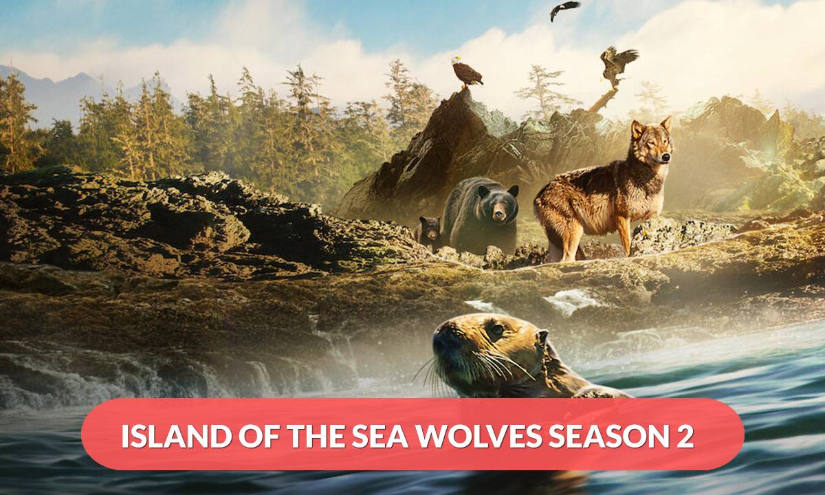 Island of the Sea Wolves Season 2 Release Date