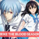 Strike The Blood Season 6 Release Date