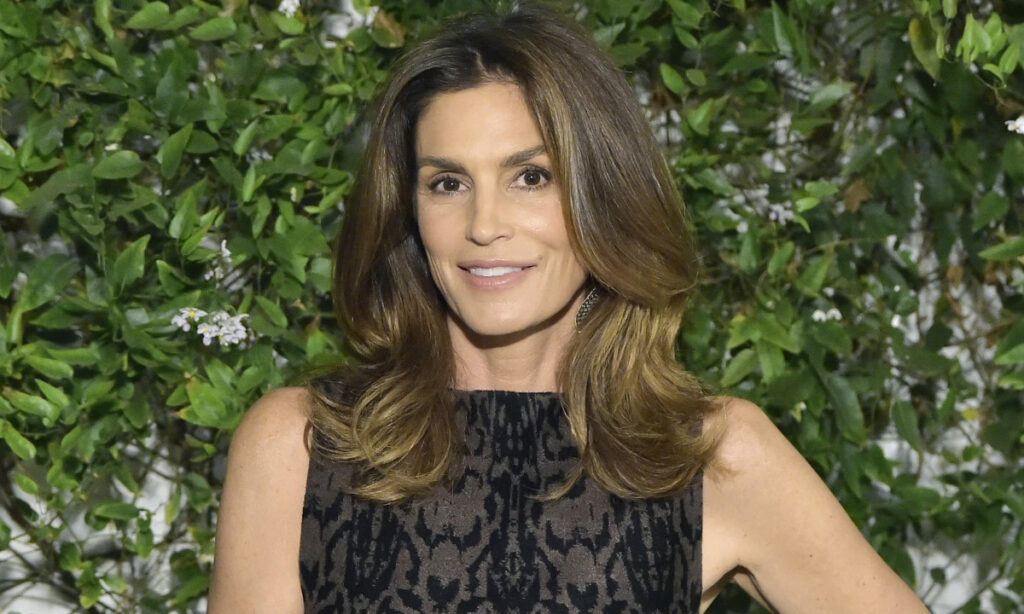 Career Of Cindy Crawford