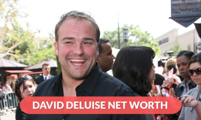 David Deluise Net Worth