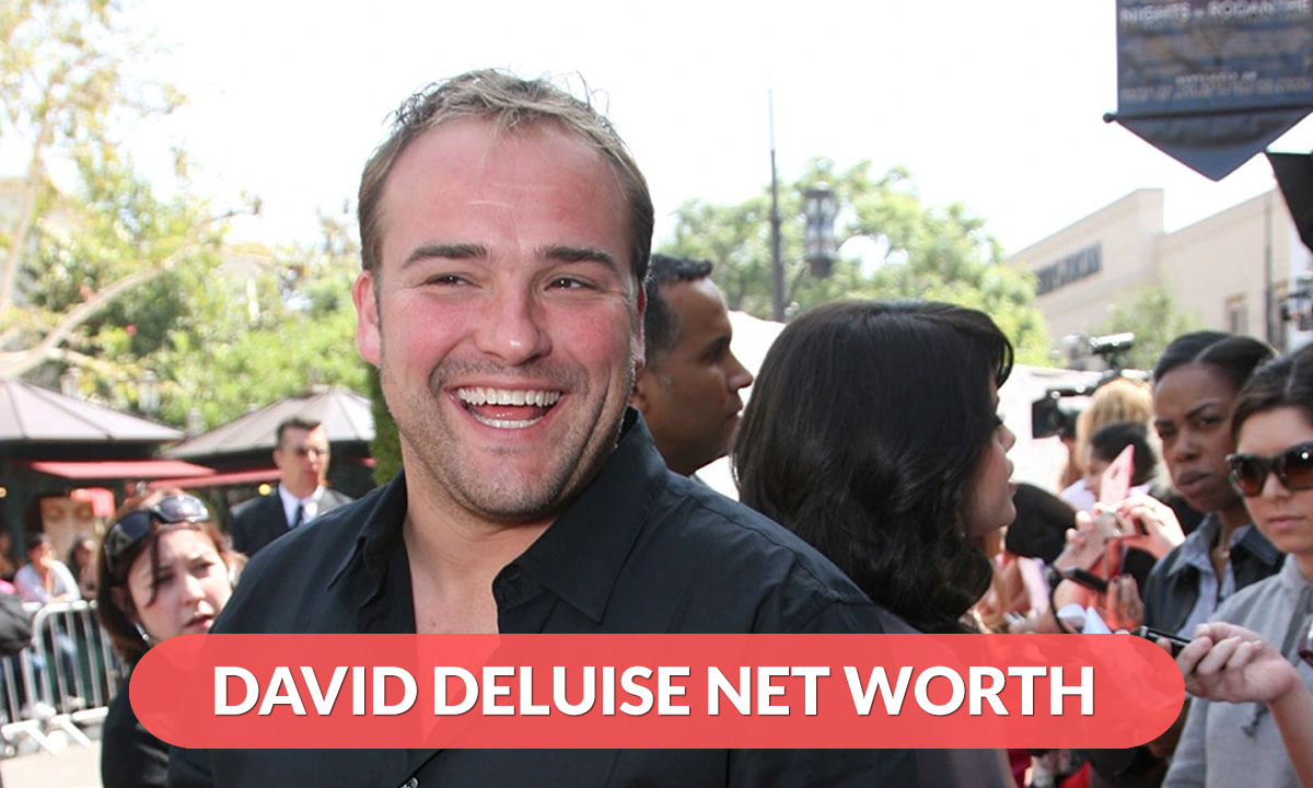 David Deluise Net Worth