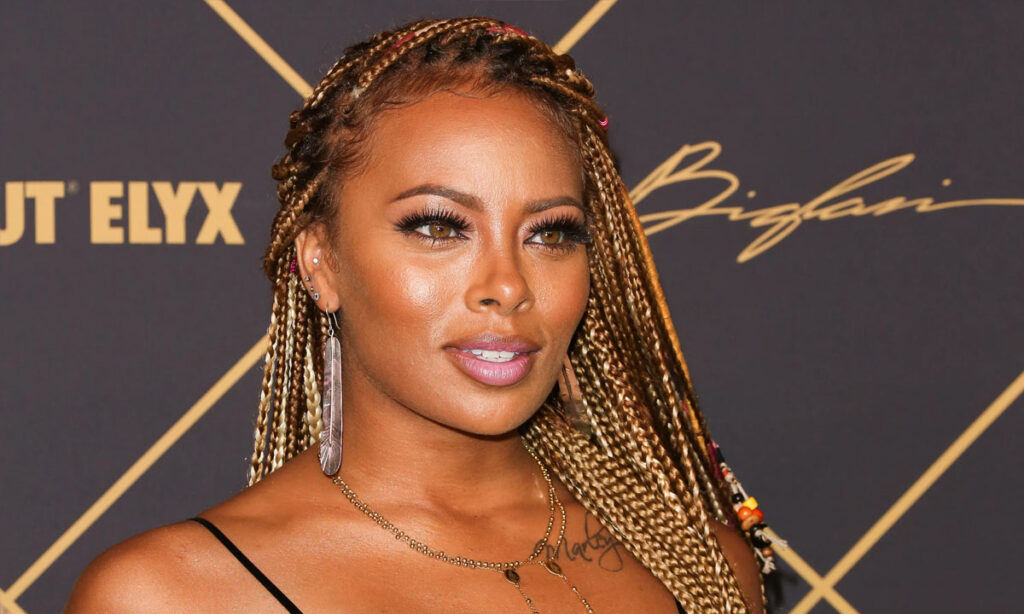 Eva Marcille Net Worth