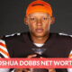 Joshua Dobbs Net Worth