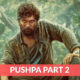 Pushpa Part 2 Release Date