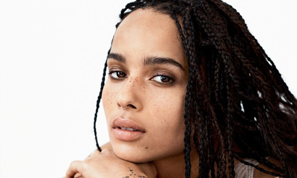 Zoe Kravitz Net Worth