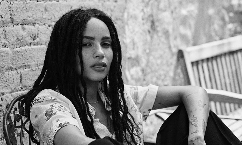 Zoe Kravitz Plastic Surgery